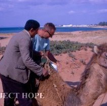 Hammemet and unknown getting on a camel